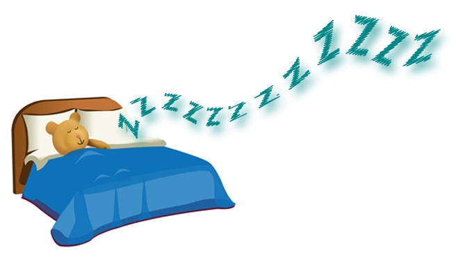 stanley the bear sleeping